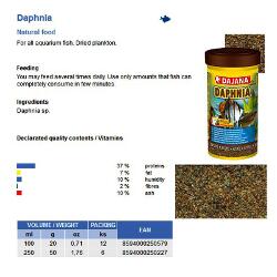 Daphnia.jpg