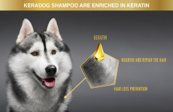 keradog3.jpg