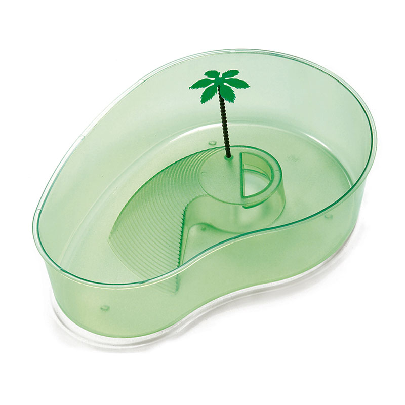 ΧΕΛΩΝΙΕΡΑ ΦΑΣΟΛΙ ΜΙΚΡΗ ΕΙΣΑΓΩΓΗΣ ΙΤΑΛΙΑΣ