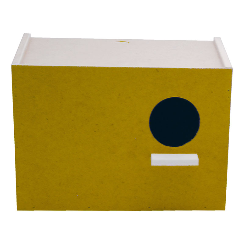 ΠΑΠΑΓΑΛΟΦΩΛΙΑ ΜΙΚΡΩΝ ΠΑΠΑΓΑΛΩΝ