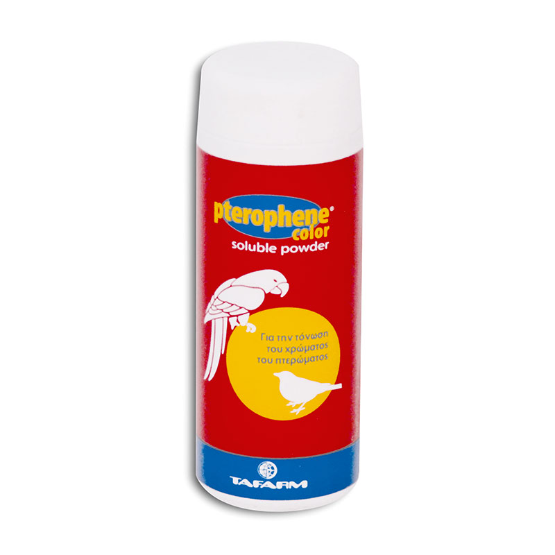 PTEROPHENE COLOR ΣΚΟΝΗ 50gr