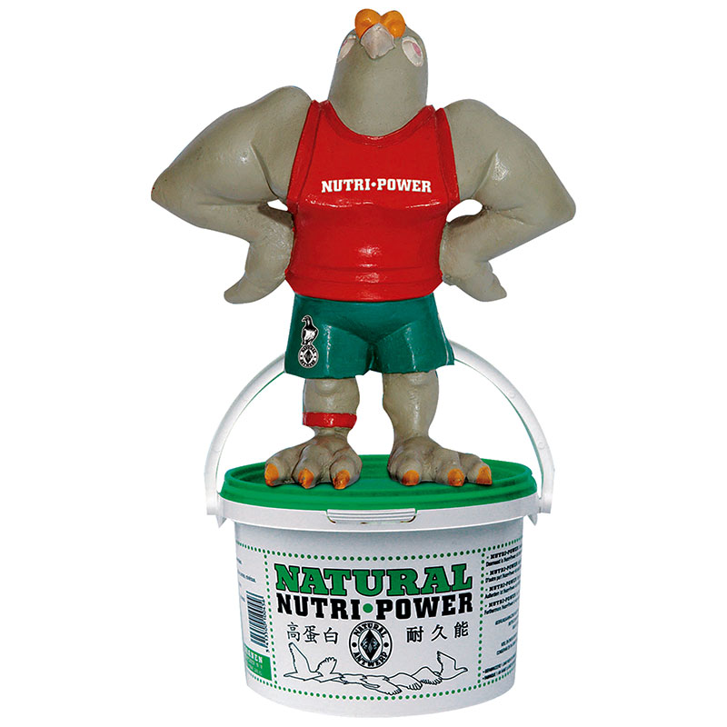 NATURAL NUTRIPOWER 1.5kg