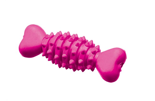 ΠΑΙΧΝΙΔΙ Rubber bone*16cm (6)