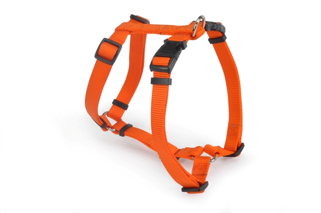 ΣΑΜΑΡΑΚΙ LARGE 25mm CAMON (1)