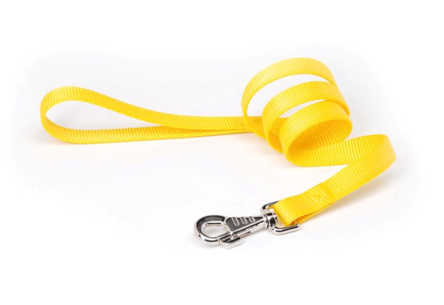 ΟΔΗΓΟΣ ΙΜΑΝΤΑΣ NYLON Yellow 25mmx100cm CAMON (1)