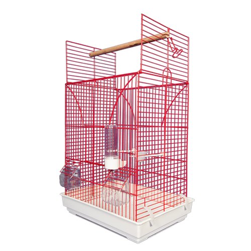 ΦΑΙΔΩΝ ΝΙΚΕΛ ΚΛΟΥΒΙ ΜΙΚΡΩΝ & ΜΕΣΑΙΩΝ ΠΑΠΑΓΑΛΩΝ ΑΝΟΙΓΩΜΕΝΟ