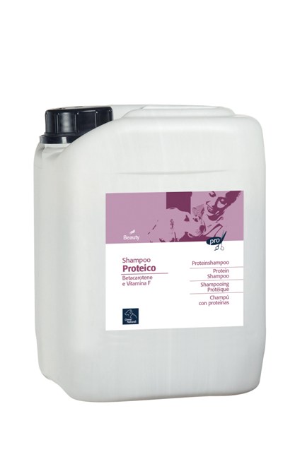 ΣΑΜΠΟΥΑΝ PROTEIN 5000ML CAMON (1)