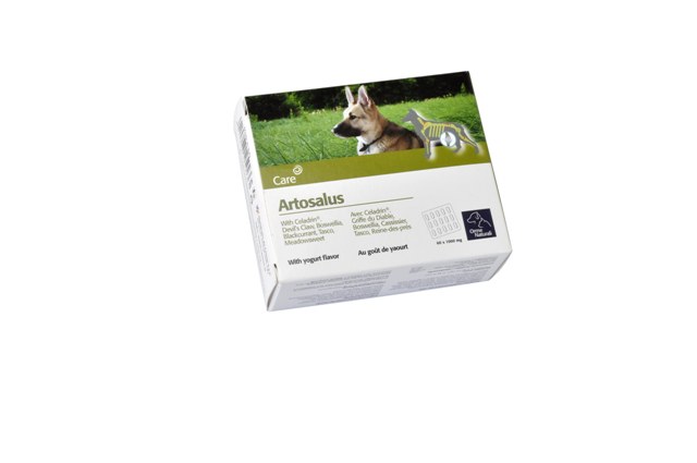 ΧΑΠΙ ARTOSALUS 60 tablets (1)