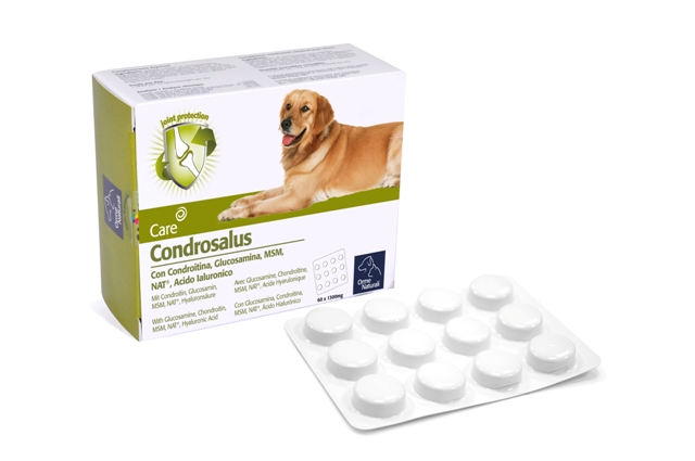 ΧΑΠΙ Condrosalus tablets 60pcs (1)