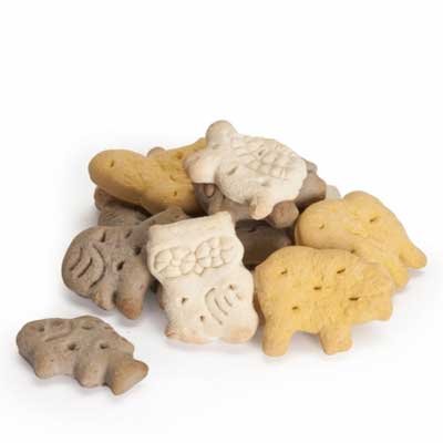 ΜΠΙΣΚΟΤΟ Vegetali-MINI Bones- AROMA VANIGLIA 10KG (1)