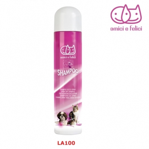 ΑΦΡΟΣ ΣΤΕΓΝΟ ΚΑΘΑΡΙΣΜΑ 300ml  L100 (1)