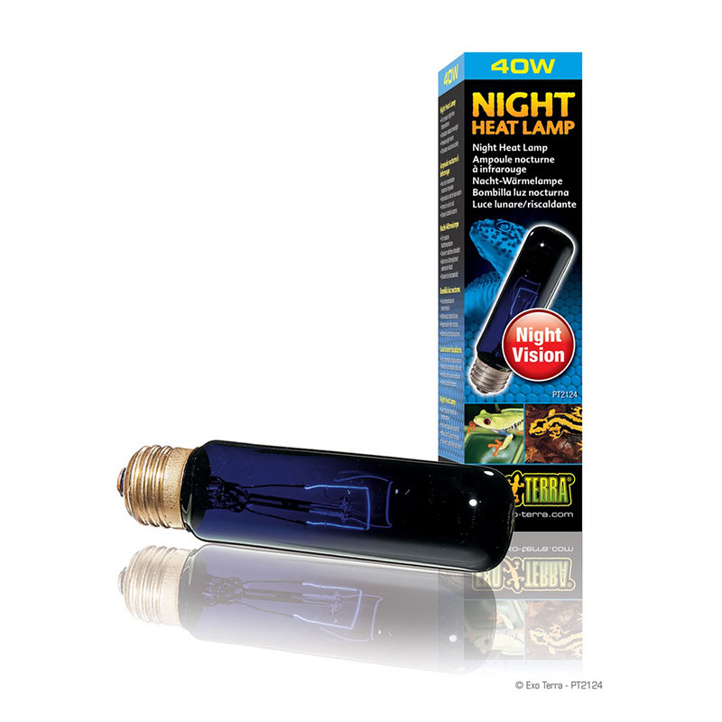 ΛΑΜΠΑ ΝΥΧΤΑΣ MOONLIGHT 40W NIGHT GLO