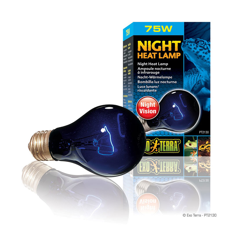 ΛΑΜΠΑ ΝΥΧΤΑΣ MOONLIGHT 75W NIGHT GLO