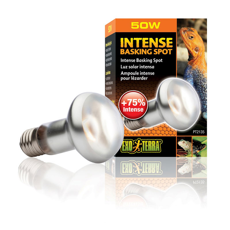 ΛΑΜΠΑ ΗΜΕΡΑΣ 50W ΠΥΚΝΗΣ ΔΕΣΜΗΣ ΦΩΤΟΣ