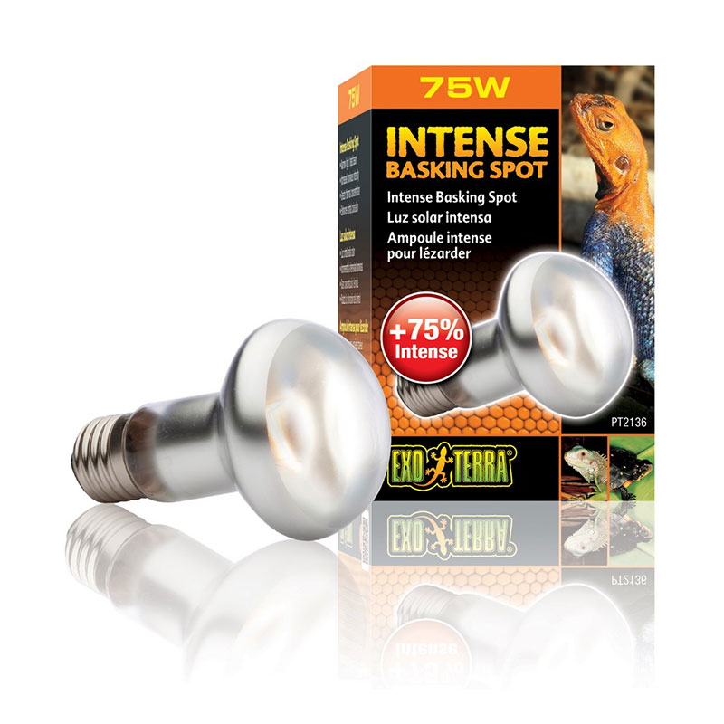 ΛΑΜΠΑ ΗΜΕΡΑΣ 75W ΠΥΚΝΗΣ ΔΕΣΜΗΣ ΦΩΤΟΣ