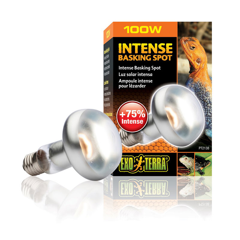 ΛΑΜΠΑ ΗΜΕΡΑΣ 100W ΠΥΚΝΗΣ ΔΕΣΜΗΣ ΦΩΤΟΣ