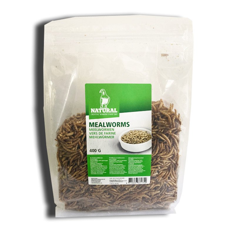 NATURAL MEALWORMS HOFI WILDLIFE Σκουλίκι 400GR