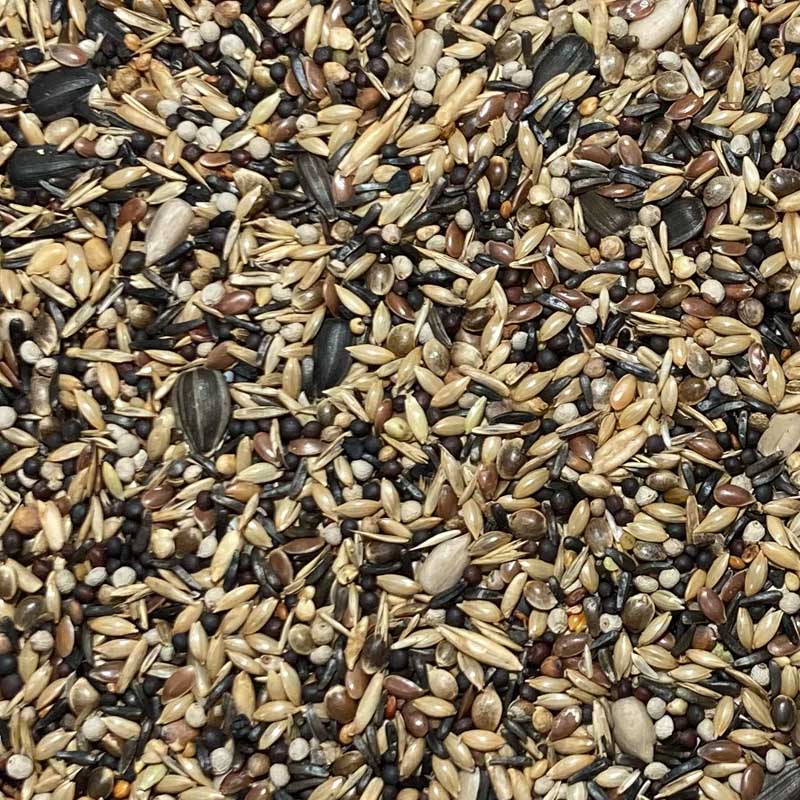 ΧΡΥΣΟΣ ΣΠΙΝΟΣ ΚΕΛΑΙΔΙΝΗ 20kg